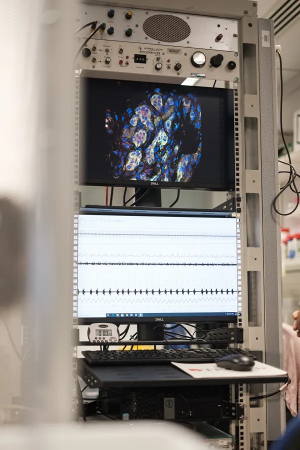 Postgraduate Scholarships