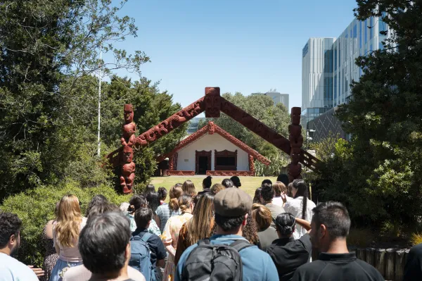Te Korowai Pūtahi Manawa